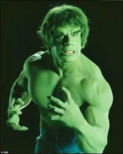 Tout le monde sans exception se souvient de "L'Incroyable Hulk" ; dans cette série le balaise tout vert était interprété par Lou Ferrigno. Mais savez-vous qui a été auditionné et recalé pour le rôle ?