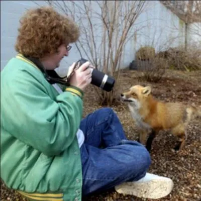 Le  Roman de Renart , fut crit par de nombreux auteurs, d'aprs les historiens, le premier d'entre eux fut :