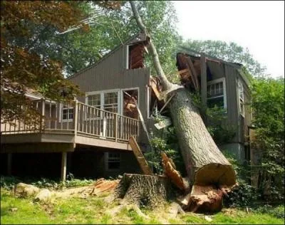 Terminez cette clbre locution latine : Errare humanum est !