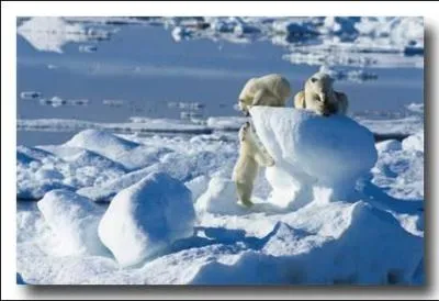 La plus grande partie du Groenland est soumise  un climat polaire : les tempratures moyennes du mois le plus chaud ne sont jamais suprieures  10 C, les hivers sont ... .
