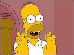 Un jour, chez des hippies, Homer dcouvre qu'il a un deuxime prnom. Quel est-il ?