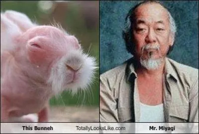 Dans quel film avez-vous vu ce personnage ?