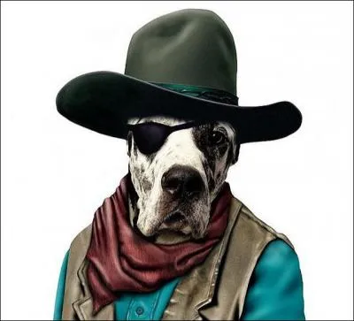 Une dmarche inimitable, dans de nombreux westerns !