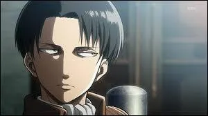 Ce personnage, dont son prnom est Levi, est dans l'anim...