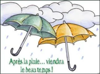 Quel verbe est de plus en plus utilis abusivement pour signifier  c'est vrai , pour parler de tout et de rien, donc de  la pluie et du beau temps  ?
