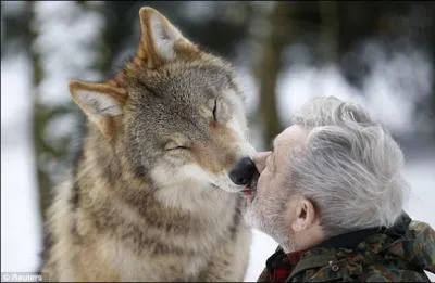 Sachant qu'il y en a quelques-uns en France, quel est cet animal ?