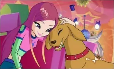 Comment s'appelle le chien de Roxy ?