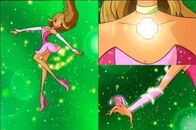 Qui est la fe de la nature ?