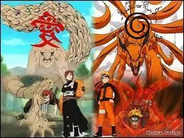 Naruto et Gaara sont deux rceptacles.