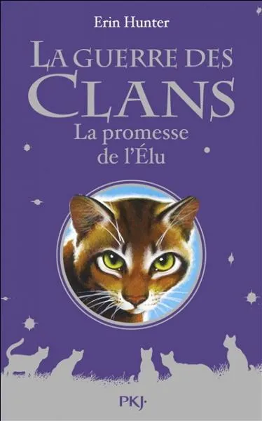 Y a-t-il un prologue  la fin de chaque indit ?