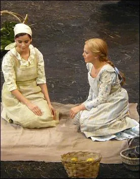 Qu'est-ce qui a prsid au livret de l'opra  Mireille   de Gounod ?