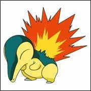 Quel est l'volution de ce pokemon ?