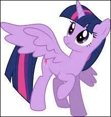 Qui sont les licornes ailes ?