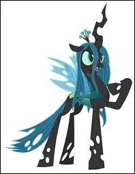 Quel est le nom de ce poney ?