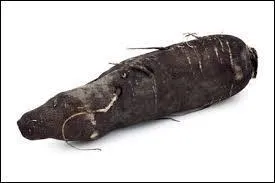 Quel est ce lgume moins connu ?