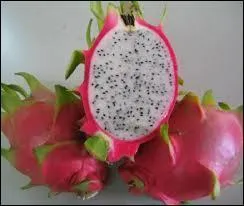 Quel est ce cousin du kiwi ?