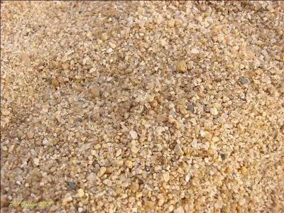 Attention au pige, que dis-tu si je t'assure qu'il n'y a rien sur cette photo ?