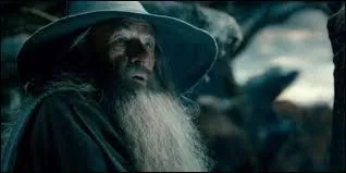 Comment s'appelle le magicien prsent tout au long de la qute ?