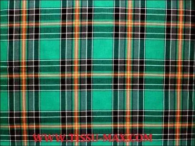 Comment nomme-t-on cette toile ?