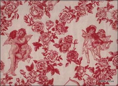 Quel est le nom de cette toile d'ameublement ?