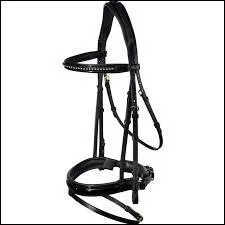 Au galop 1, faut-il savoir mettre un filet ?