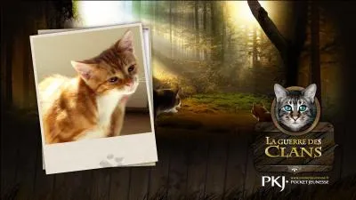 Combien existe-t-il en tout de livres   La guerre des Clans   ? ( en comptant les indits ) en France .