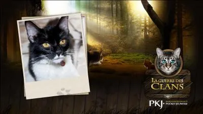 Comment se nomme le dernier livre de la srie (normal et indit) a tre sorti ?