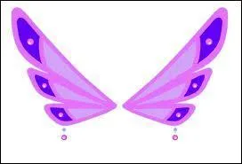  qui appartiennent ces ailes Enchantix ?