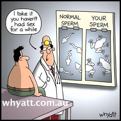 Si ce sont les meilleurs qui partent les premiers ...