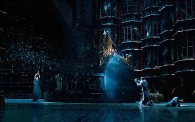 Le duel de l'Atrium prend place dans le cadre de la bataille du Dpartement des mystres entre Lord Voldemort et Albus Dumbledore. Que devient le phnix d'Albus Dumbledore, prnomm Fumseck, qui s'interpose entre le Seigneur des Tnbres et le directeur de Poudlard et qui est frapp de plein fouet par un Avada Kedavra, dans  Harry Potter et l'Ordre du Phnix  ?