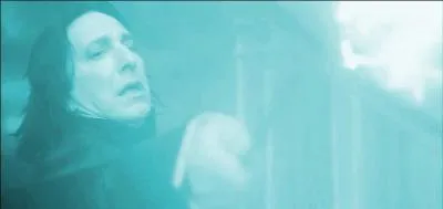 Dans  Harry Potter et le Prince de Sang-Ml , Severus Rogue tue Albus Dumbledore d'un Avada Kedavra. Quelle baguette magique, extrmement puissante, tait la proprit du directeur de Poudlard ?