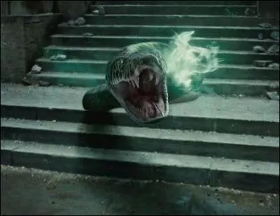 Dans  Harry Potter et les reliques de la mort (Partie II) , Ron Weasley tente de tuer Nagini, un horcruxe du Seigneur des Tnbres, mais sans succs. Pour quelle raison ?