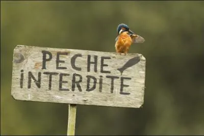 Je m'attends bien  ce que vous me disiez --------- -------- il y a de -------- gne, il n'y a pas de plaisir.