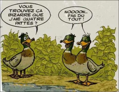 Ce quiz-(---) ne casse pas trois pattes  un canard.