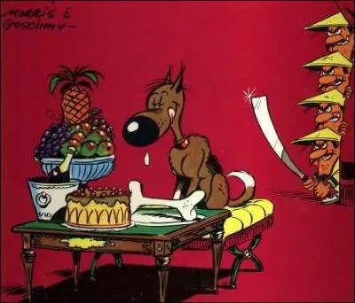 Qui adore Rantanplan ?