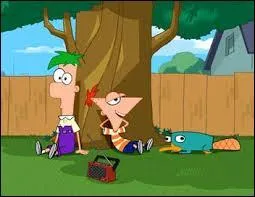 Dans quelle ville habitent Phinas et Ferb ?