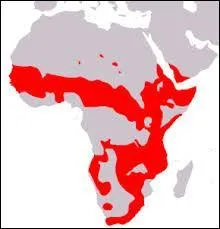 Dans quelle rpartition du globe vit-il ?