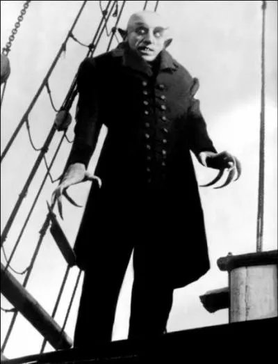 Friedrich Wilhelm Murnau avait adapt son film du roman  Dracula  de Bram Stocker, bien qu'il fut non autoris par les ayants-droit. C'est pour cette raison que certains noms et dtails ont t changs par rapport au roman. Le comte Dracula devient ainsi le comte :