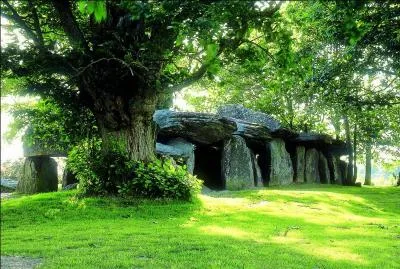 La Roche-aux-Fées est une allée couverte à Essé. Elle doit son nom à une légende qui raconte que des fées auraient apporté les pierres. Au Néolithique, les dolmens servaient...