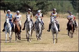 Quelle est cette discipline ?