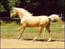 Quelle est cette robe ?