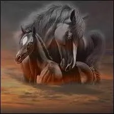 Comment appelle-t-on le cheval au fminin ?