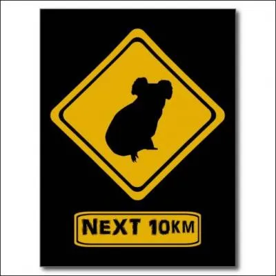 Et l, je vous laisse deviner : eucalyptus !