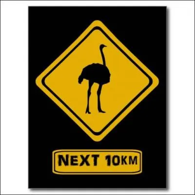 Reprenons la route des grandes savanes africaines !