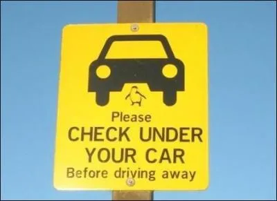 Avant de dmarrer, vrifiez-bien sous votre voiture, il peut s'y cacher !