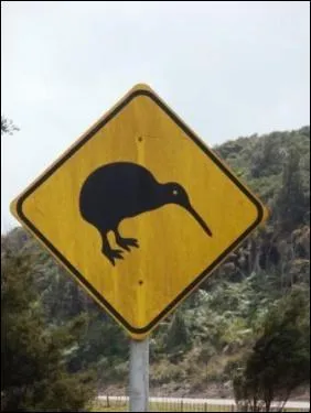 Quant  lui, il porte le nom d'un fruit !