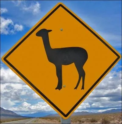 Prenez une route d'Argentine, et levez le pied en voyant ce panneau !