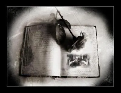 Qui a crit   Les Aventures d'Arthur Gordon Pym  ?