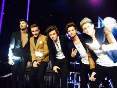 Quelle chanson on chant les  One Direction  au NMA 2014 ?