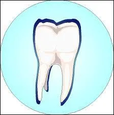 Quel membre du groupe avait un problme avec une dent ?